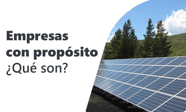 Empresas con propósito: ¿Qué son?